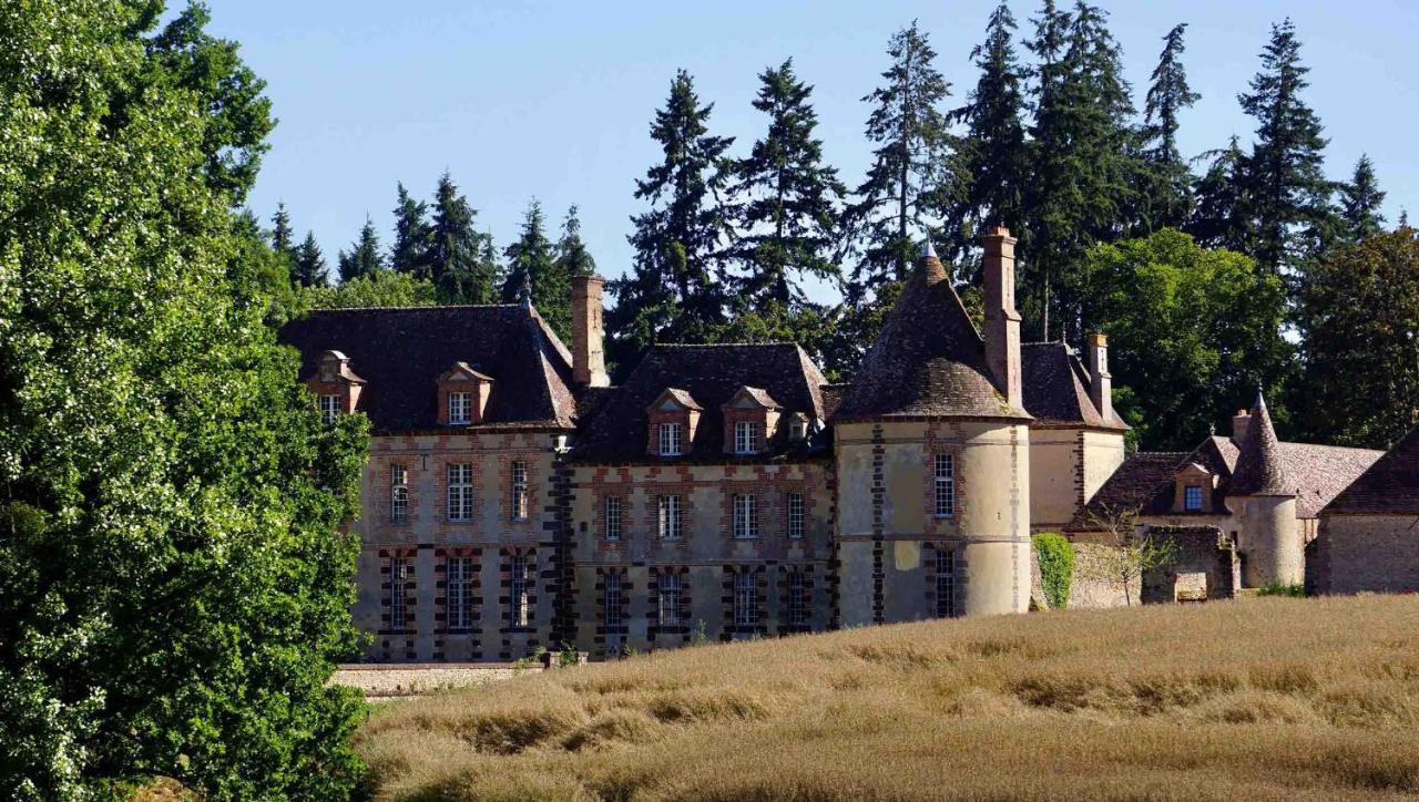 Pontgouin Chateau De La Riviere Bed & Breakfast エクステリア 写真