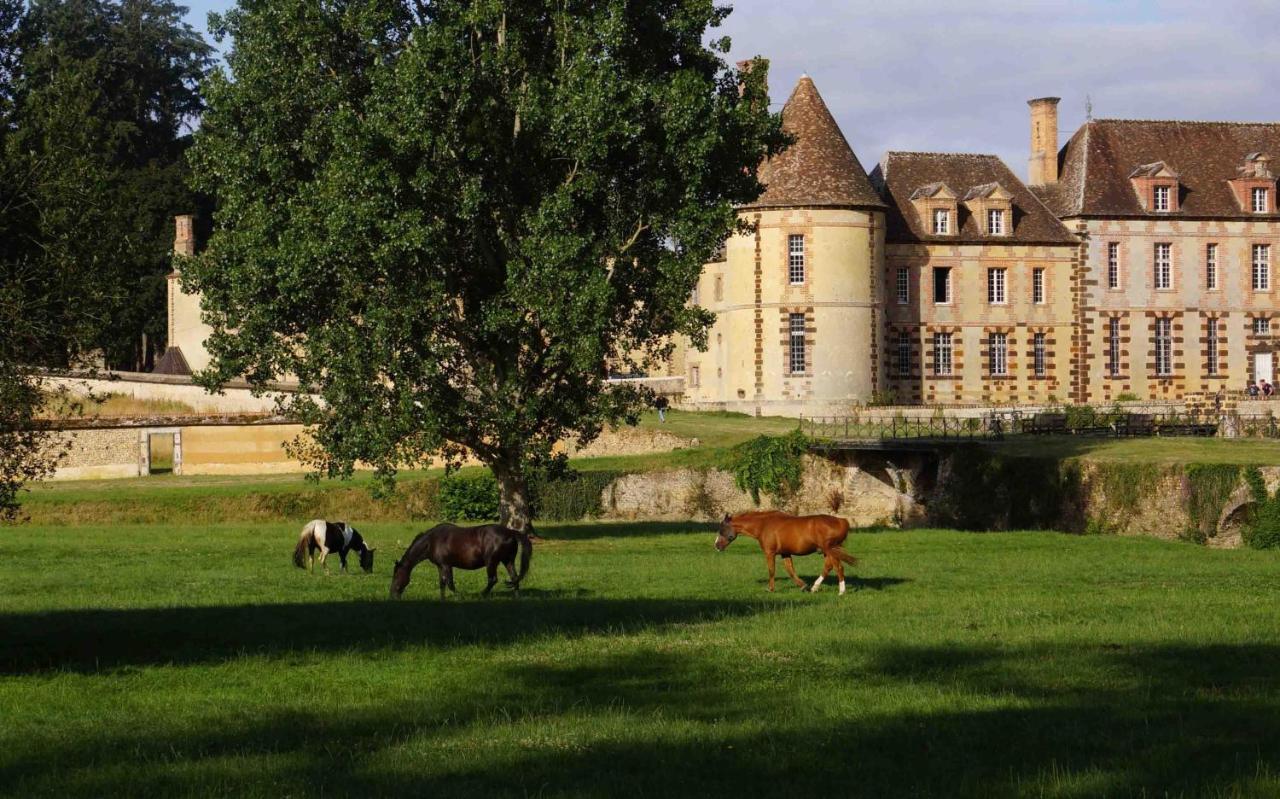 Pontgouin Chateau De La Riviere Bed & Breakfast エクステリア 写真