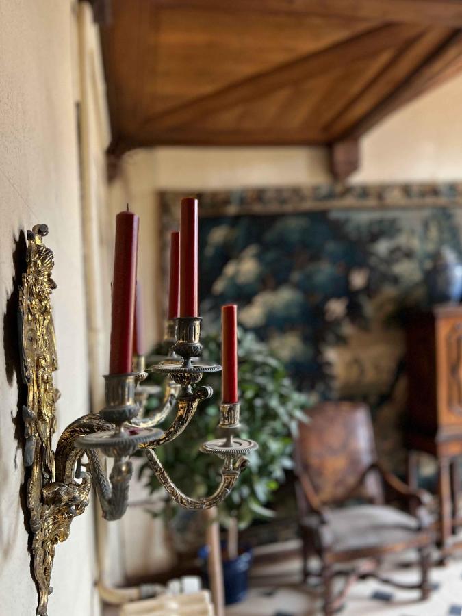 Chateau De La Riviere Pontgouin エクステリア 写真